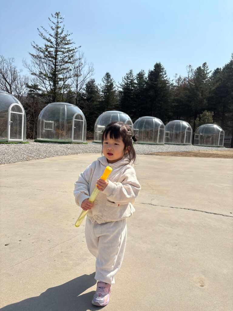 이천 덕평 공룡 수목원