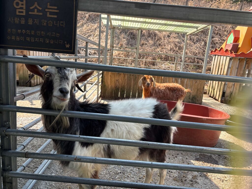 이천 덕평 공룡 수목원