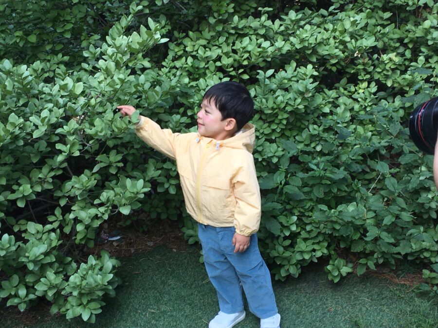 키즈모델